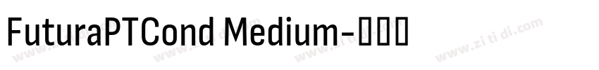 FuturaPTCond Medium字体转换